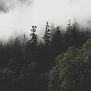 Meet your Posher, Benjamin